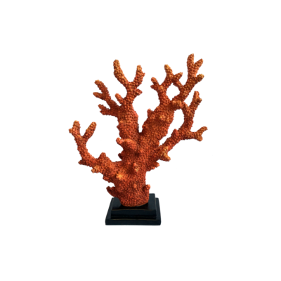 Escultura Coral Seaweed Decor