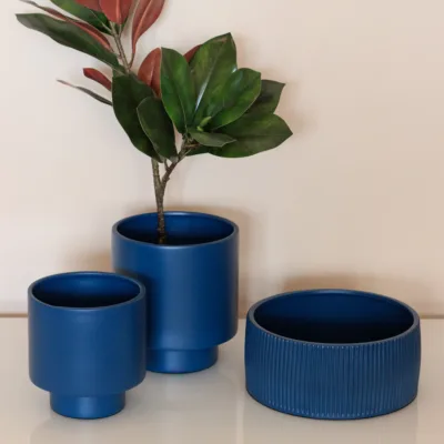 Vaso Eve Jacinto G