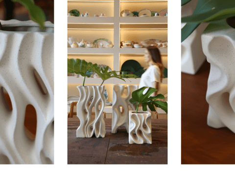 Raiz: a força invisível da natureza transformada em design autoral